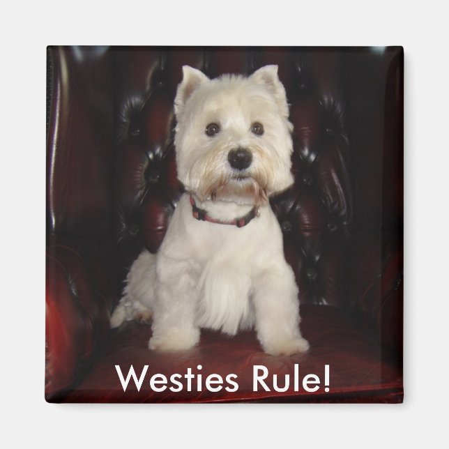 Hamish McTavish Westies Rule Fridge Magnet (Front)