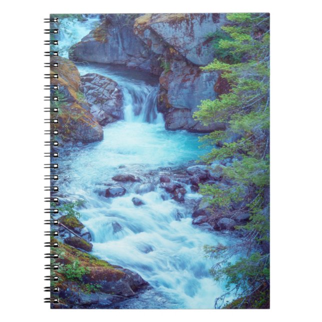 Hamma Hamma Creek Spiral Notebook (Front)