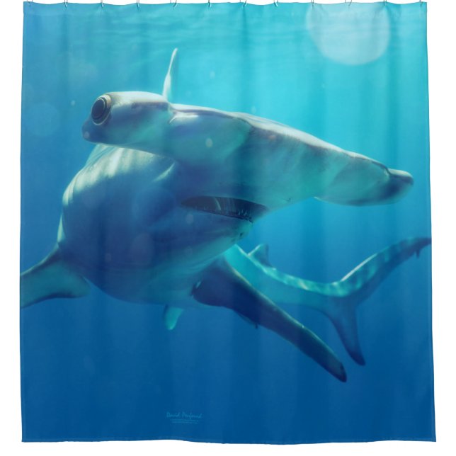 Hammer Head Shower Curtain (Front)