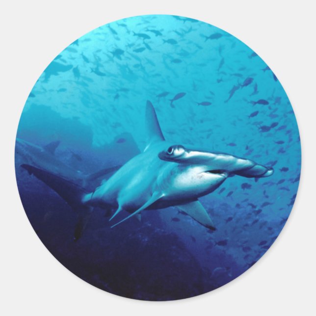 Hammerhead shark classic round sticker (Front)