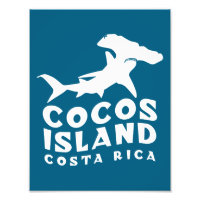 Hammerhead Shark Cocos Island