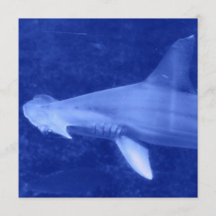 Hammerhead Shark  Invitations