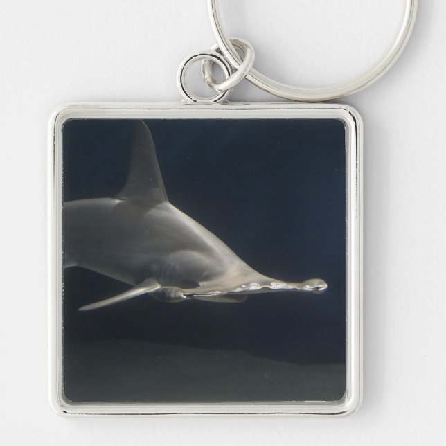Hammerhead Shark Key Ring (Front)