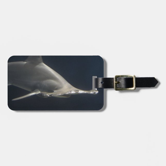 Hammerhead Shark Luggage Tag (Front Horizontal)