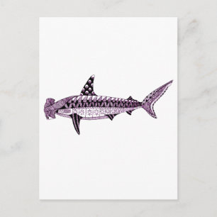 Hammerhead Shark Postcard