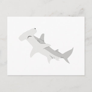 Hammerhead Shark Postcard