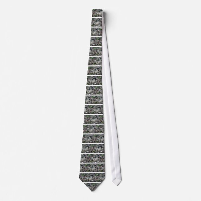 Hammersmith Tie (Front)