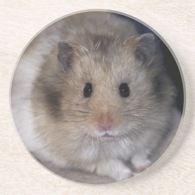 Hammie Coaster (Front)