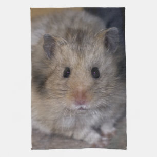 Hammie Kitchen Towel