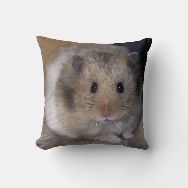 Hammie Pillow (Front)
