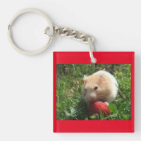 Hammies With Strawberries
