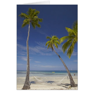 Hammock and palm trees, Plantation Island Resort