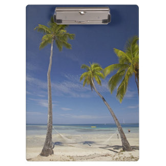 Hammock and palm trees, Plantation Island Resort Clipboard