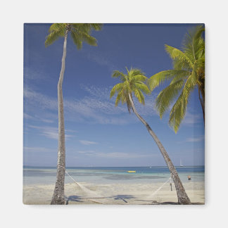 Hammock and palm trees, Plantation Island Resort Magnet
