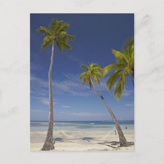 Hammock and palm trees, Plantation Island Resort Postcard