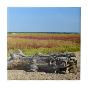 Hammonasset Beach Tile