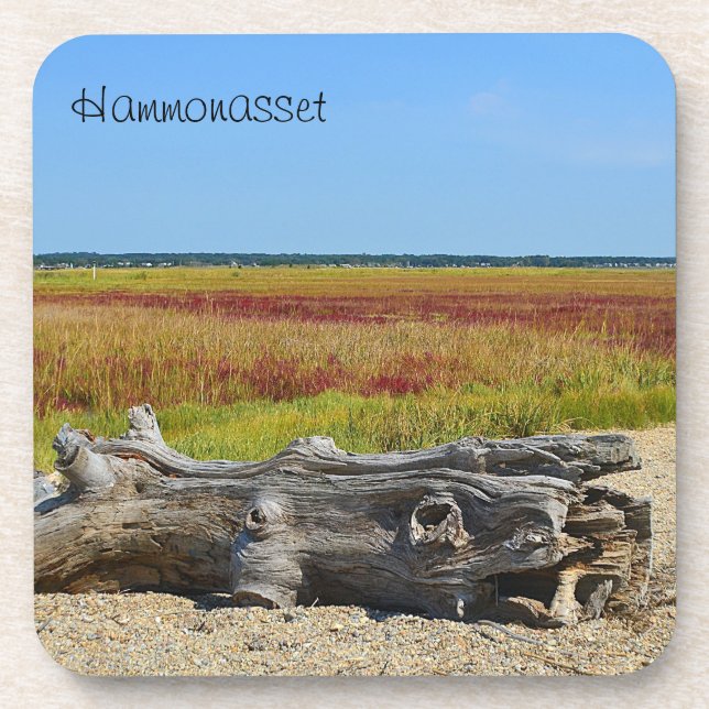 Hammonasset Coaster (Front)