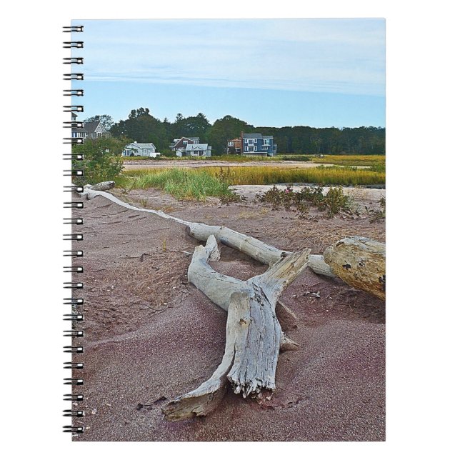 Hammonasset Driftwood Notebook (Front)