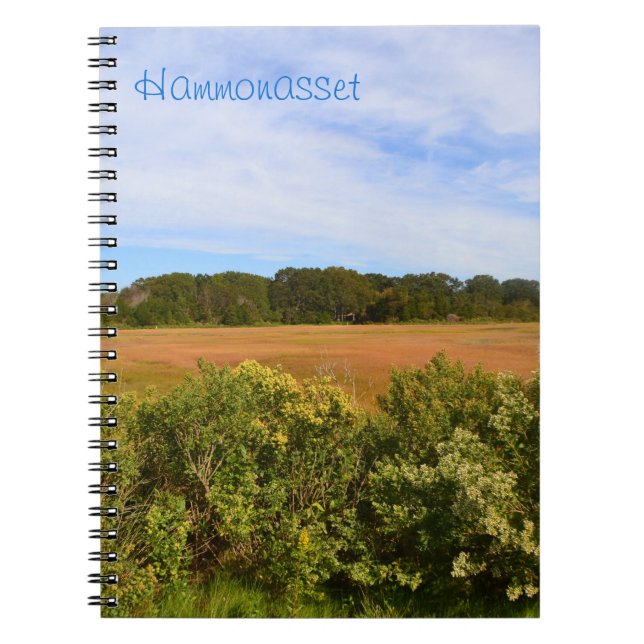Hammonasset Marsh Notebook (Front)