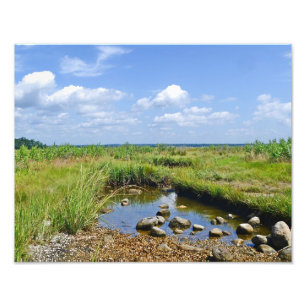 Hammonasset Marsh Photo Print