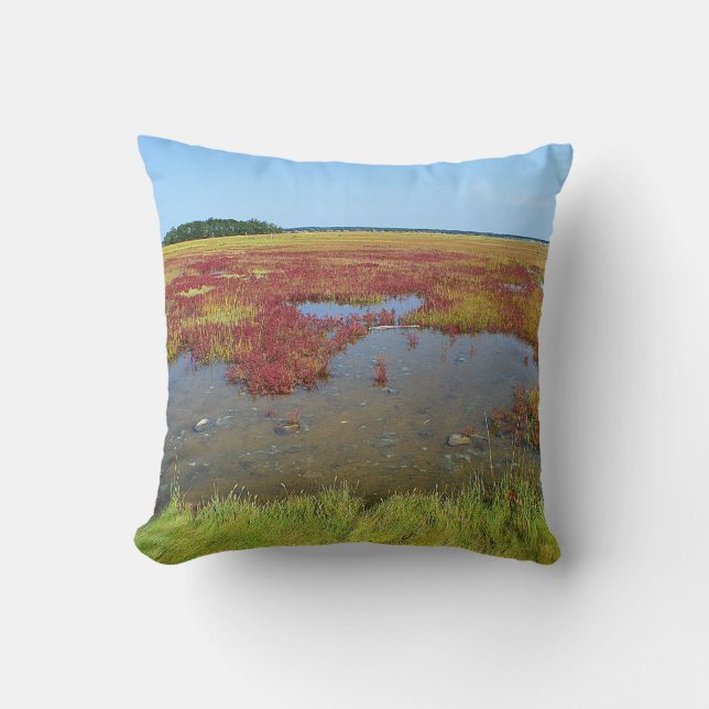 Hammonasset Marsh Pillow (Front)