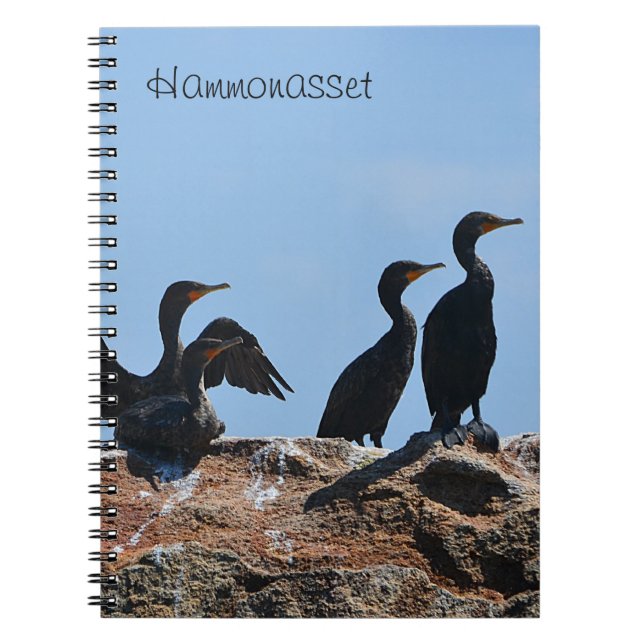 Hammonasset Notebook (Front)