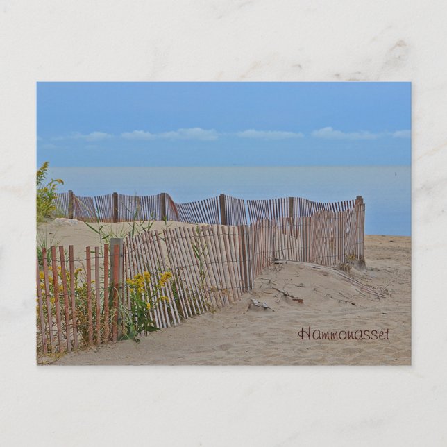 Hammonasset Postcard (Front)
