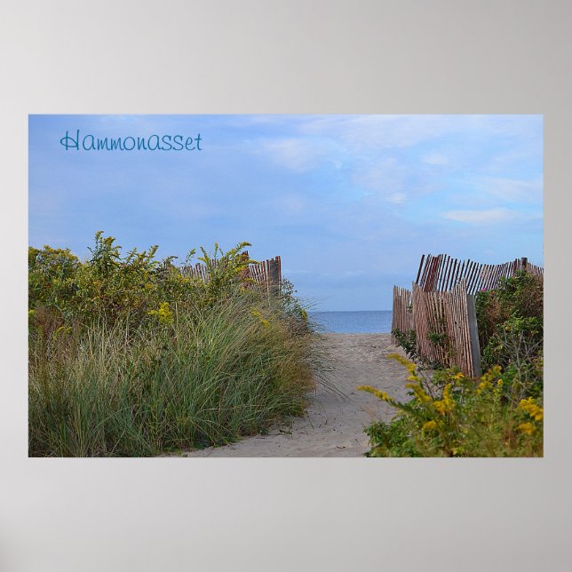 Hammonasset Poster (Front)