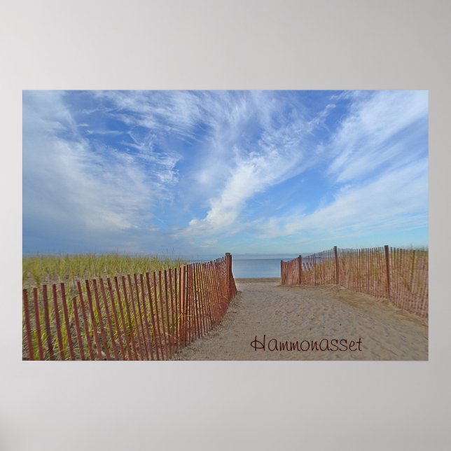 Hammonasset Poster (Front)