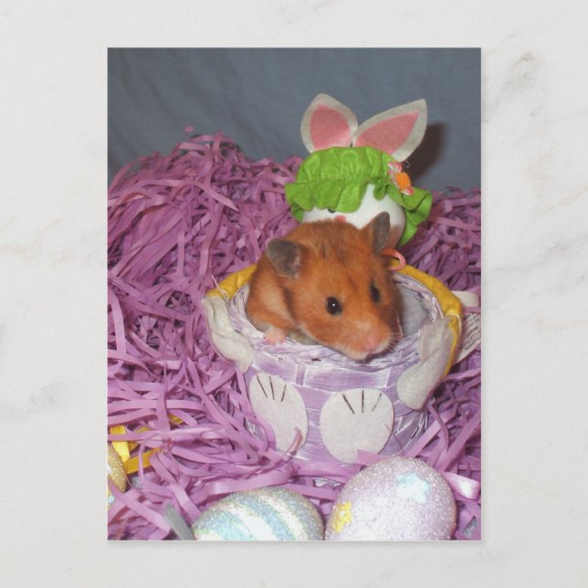 Hammy Easter Basket Holiday Postcard (Front)