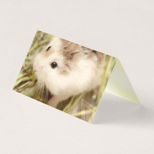 Hammyville - Cute Hamster