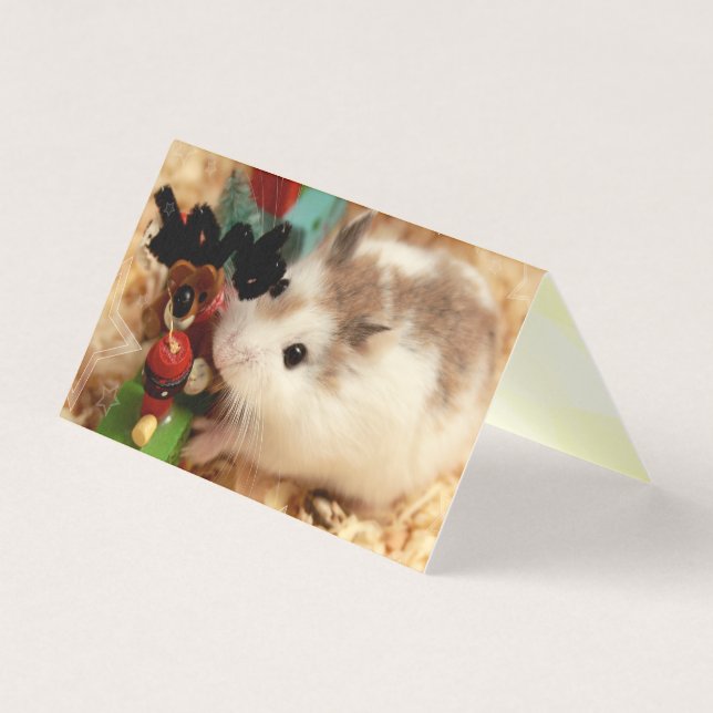 Hammyville - Cute Hamster (Front)