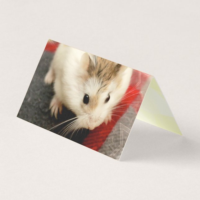 Hammyville - Cute Hamster (Front)