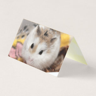 Hammyville - Cute Hamster