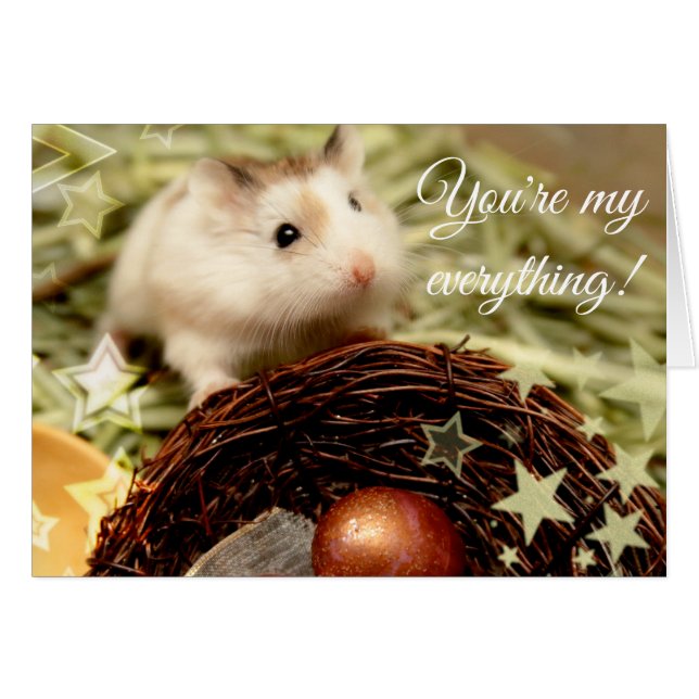 Hammyville - Cute Hamster and Nest (Front Horizontal)