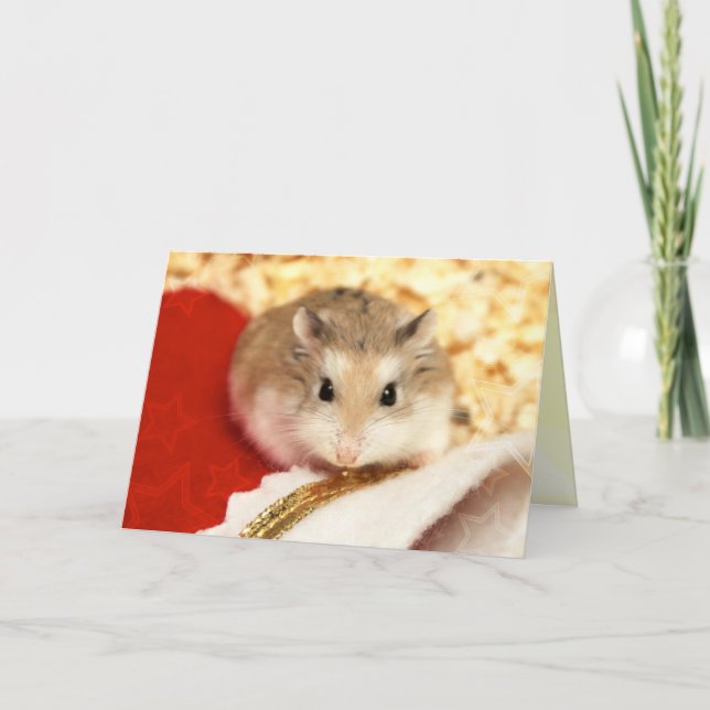 Hammyville - Cute Hamster Card (Front)