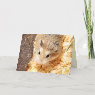 Hammyville - Cute Hamster Card