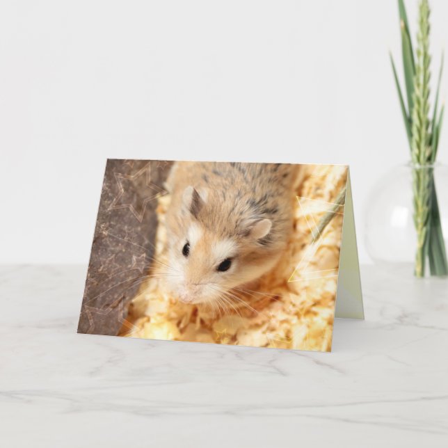 Hammyville - Cute Hamster Card (Front)