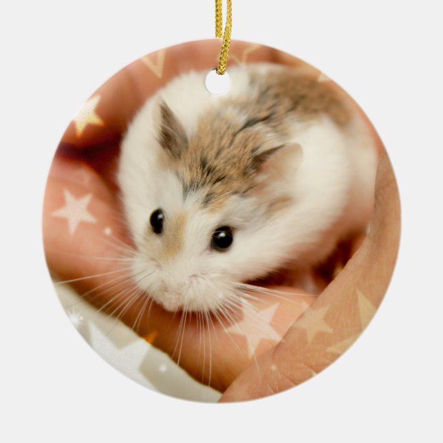 Hammyville - Cute Hamster Ceramic Tree Decoration (Front)
