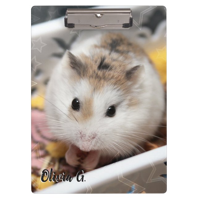 Hammyville - Cute Hamster Clipboard (Front)