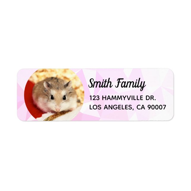 Hammyville - Cute Hamster Cool Geometric (Front)