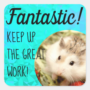 HammyVille - Cute Hamster Fantastic Great Work Square Sticker