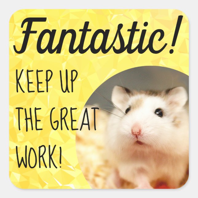 HammyVille - Cute Hamster Fantastic Great Work Square Sticker (Front)