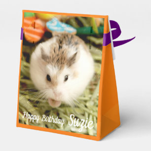 Hammyville - Cute Hamster Favour Box