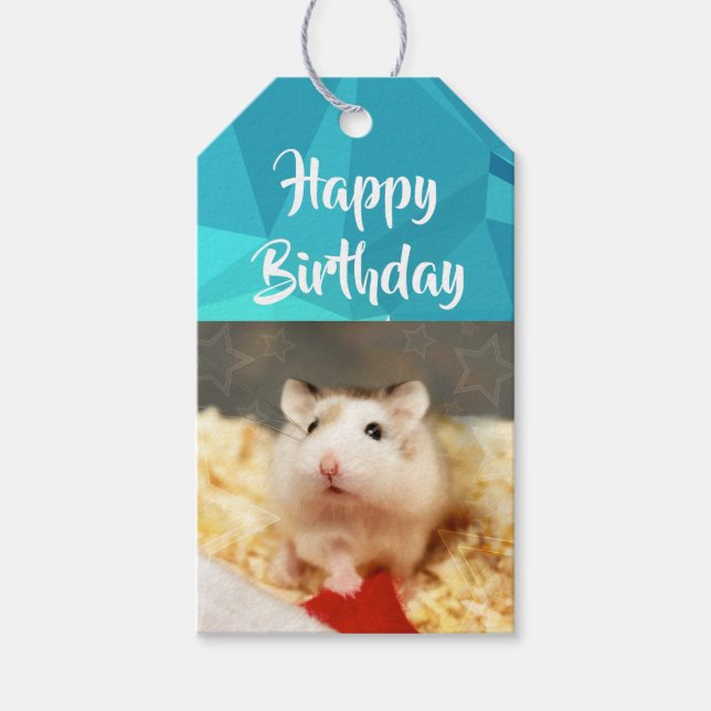 Hammyville - Cute Hamster Gift Tags (Front)