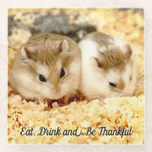 Hammyville - Cute Hamster Glass Coaster