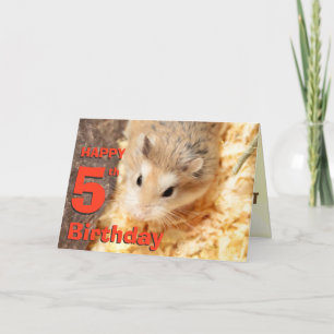 Hammyville - Cute Hamster Happy Birthday Card