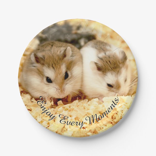 Hammyville - Cute Hamster Paper Plate (Front)