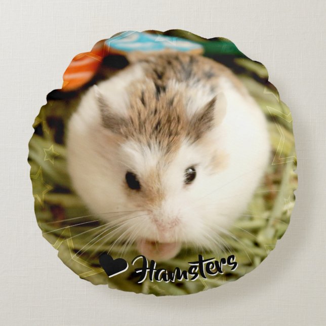 Hammyville - Cute Hamster Round Cushion (Front)