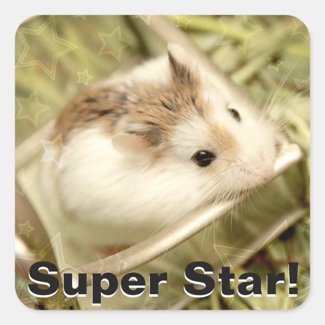 Hammyville - Cute Hamster Square Sticker (Front)